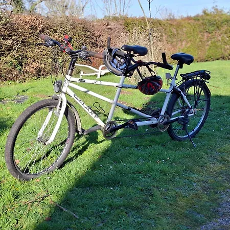 Vakantiehuis L'oree De La Foret