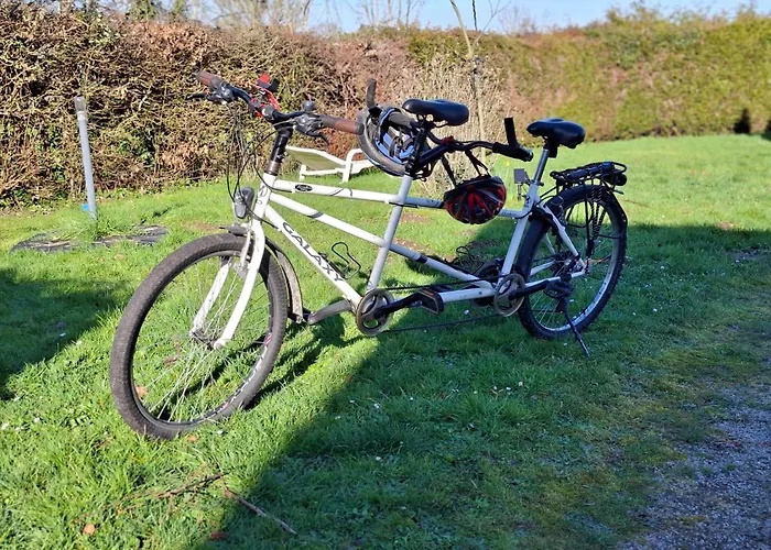 Vakantiehuis L'oree De La Foret